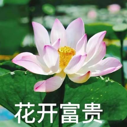 .海阔天空