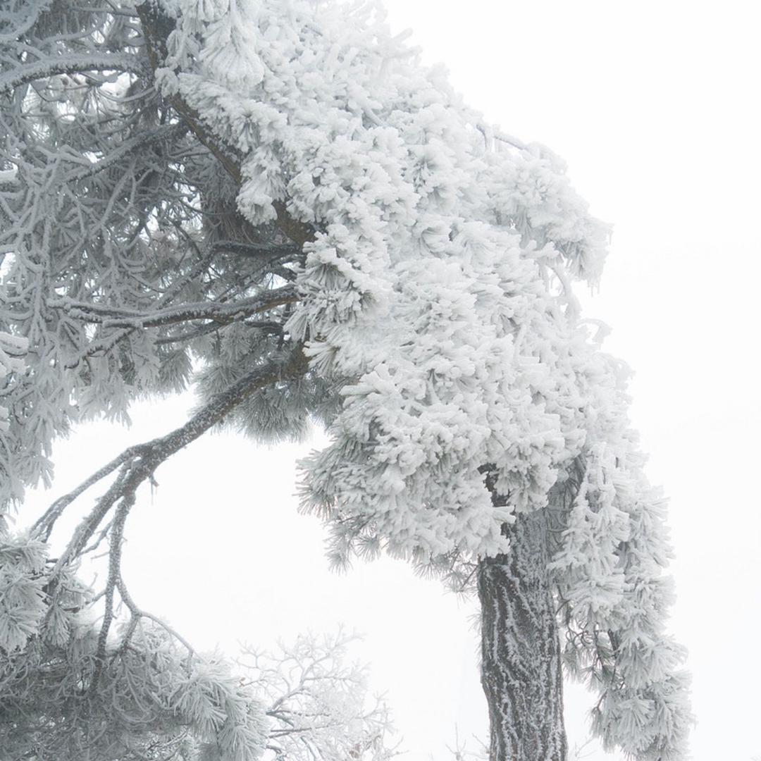 Zero°Snow