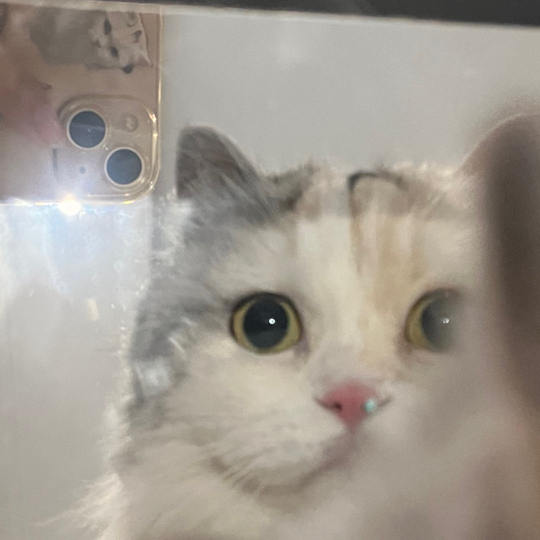 是头咪呀/•᷅•᷄\୭（修行）