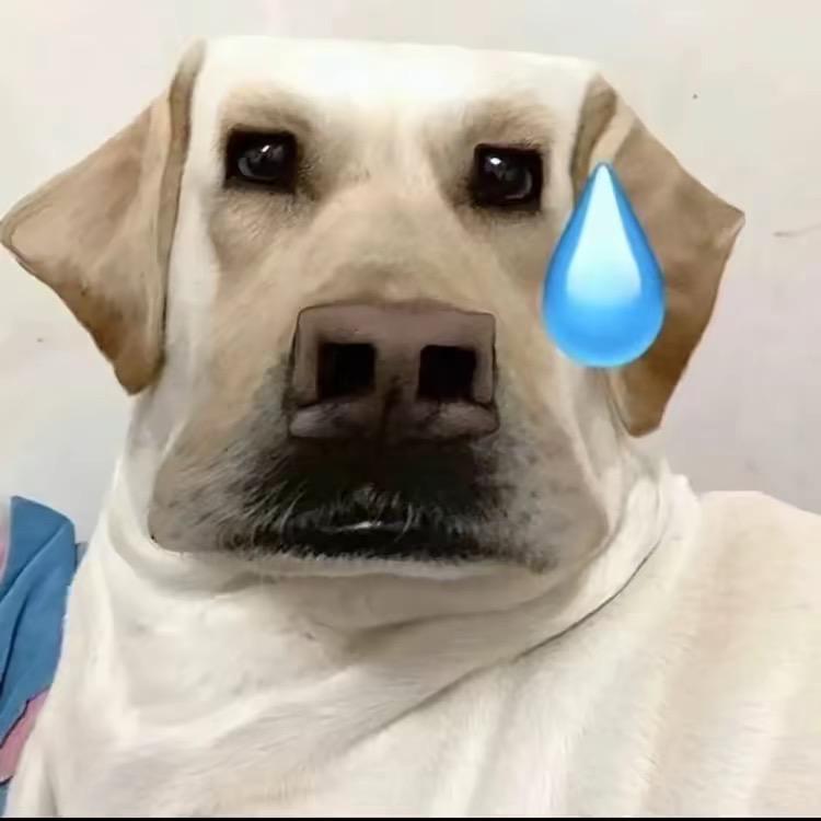 汉堡小点小点