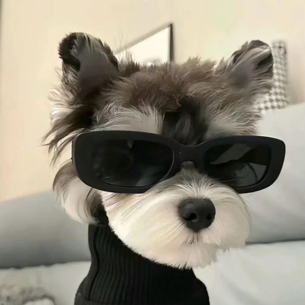 程一睡不醒🐵