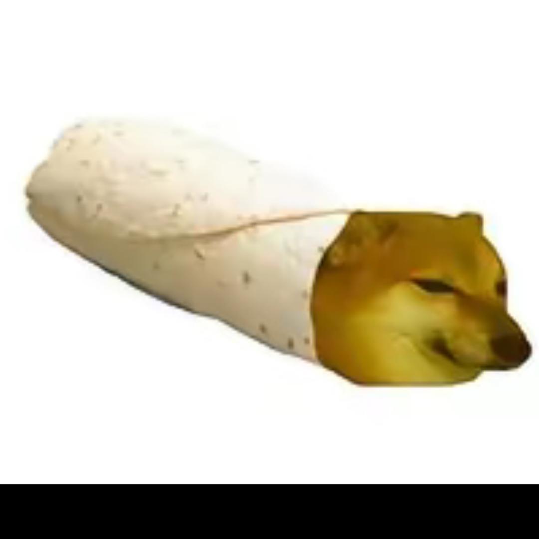 编辑君