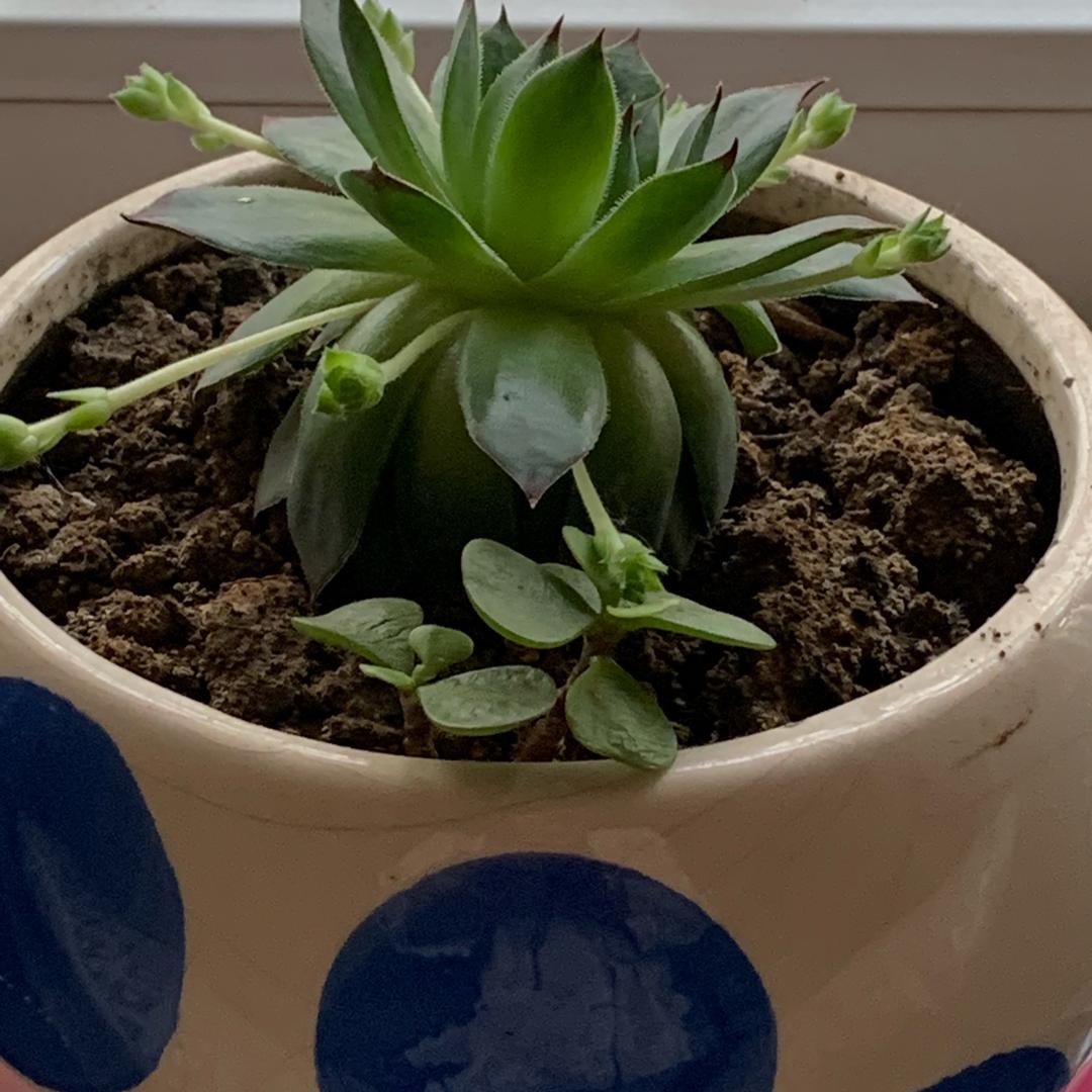 有缘人👩‍❤️‍👨