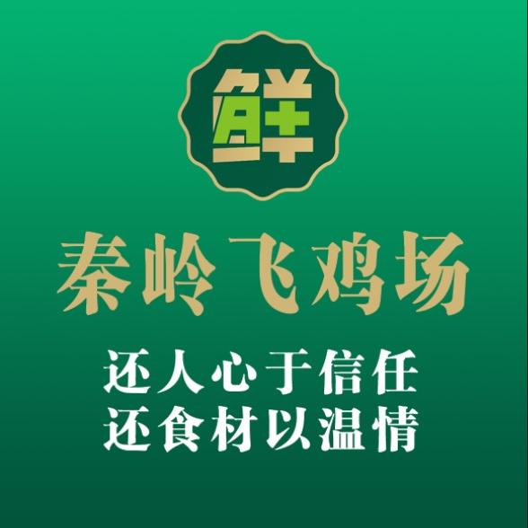 秦岭飞鸡场（新号）
