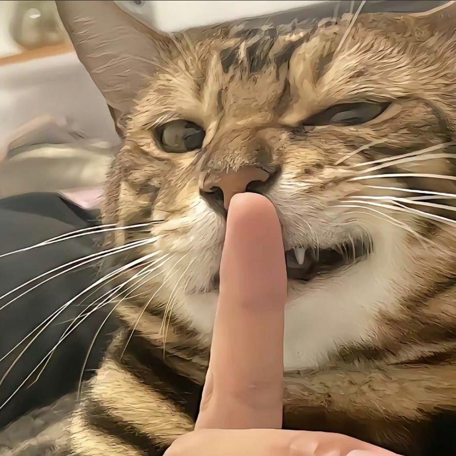 小张在基层✍️