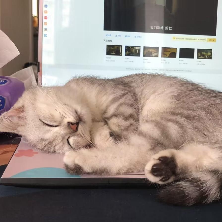 木木（好运版）