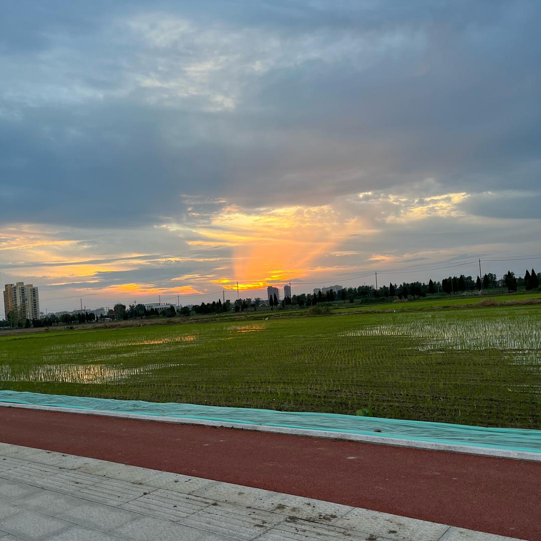 王家堡村斯巴达克