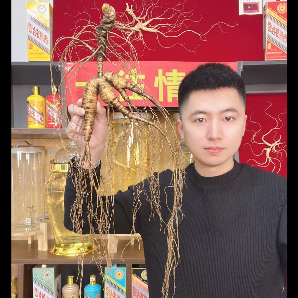 长白山人参阿哲