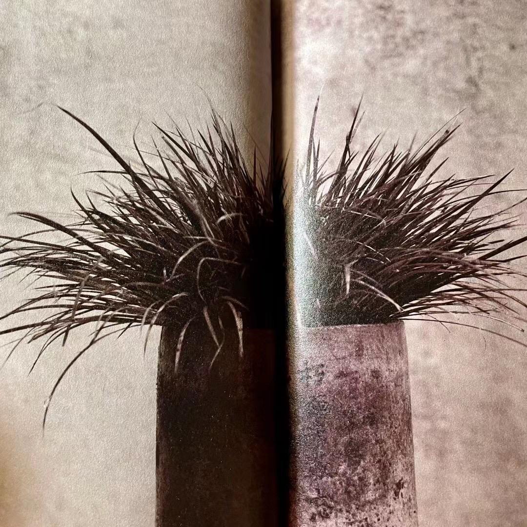疯魔