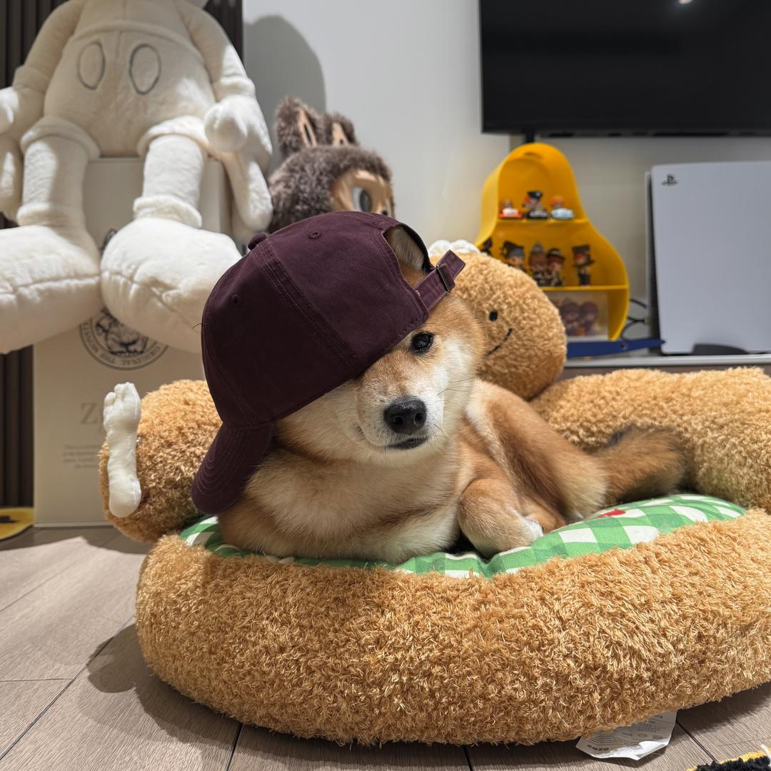 八爪丸子