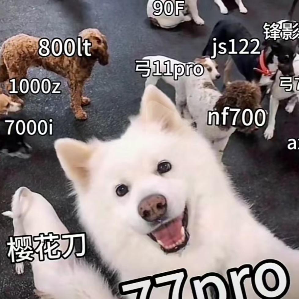 加酱不加盐🌈