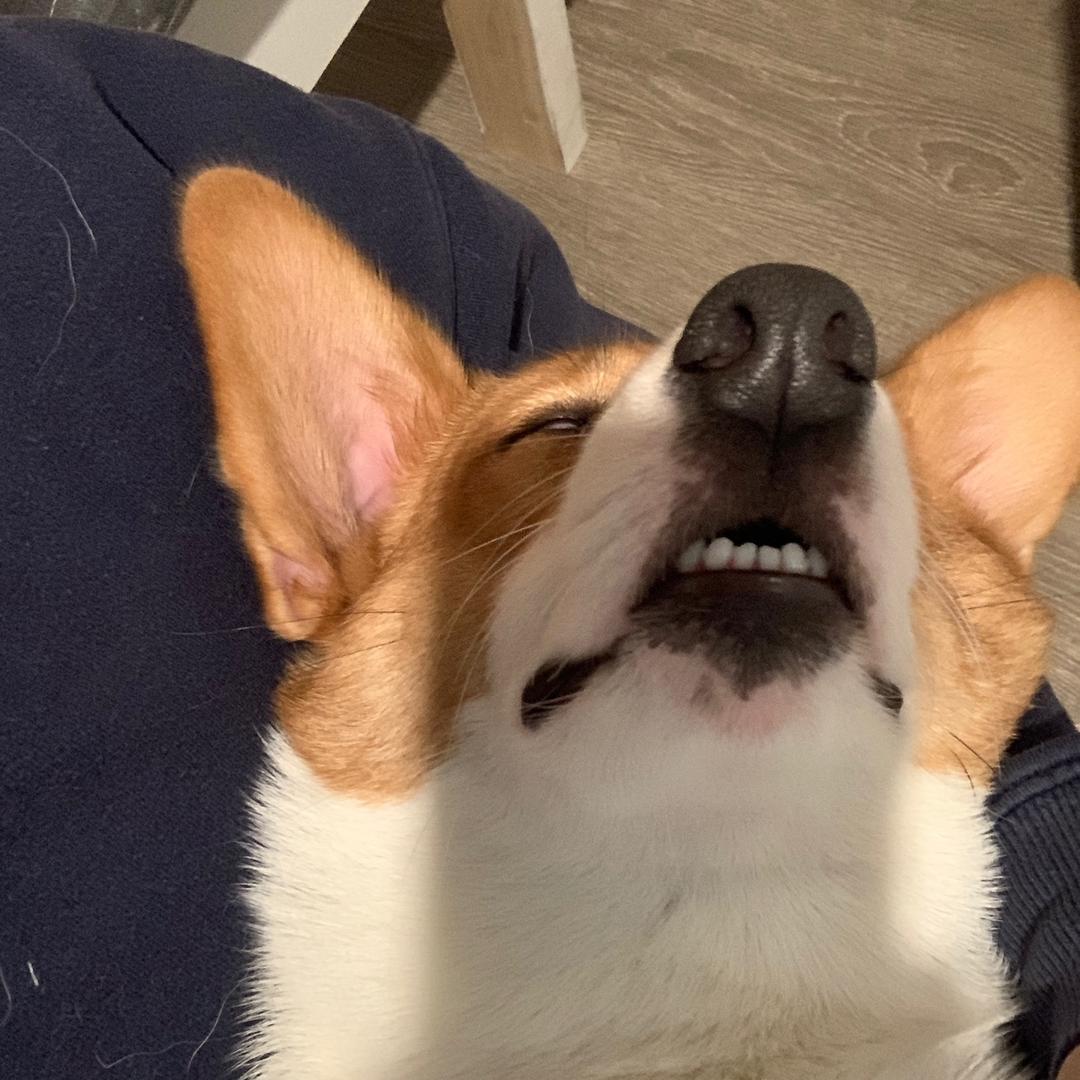 小碳