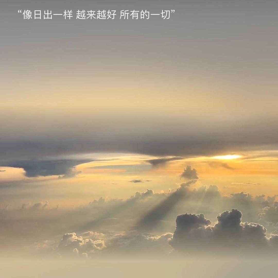 橘柚🍊