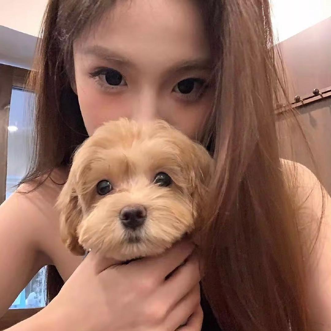 焦糖味🍟