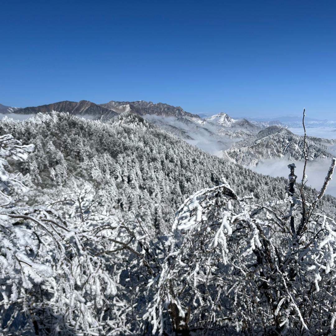 羊安北部新城游泳馆