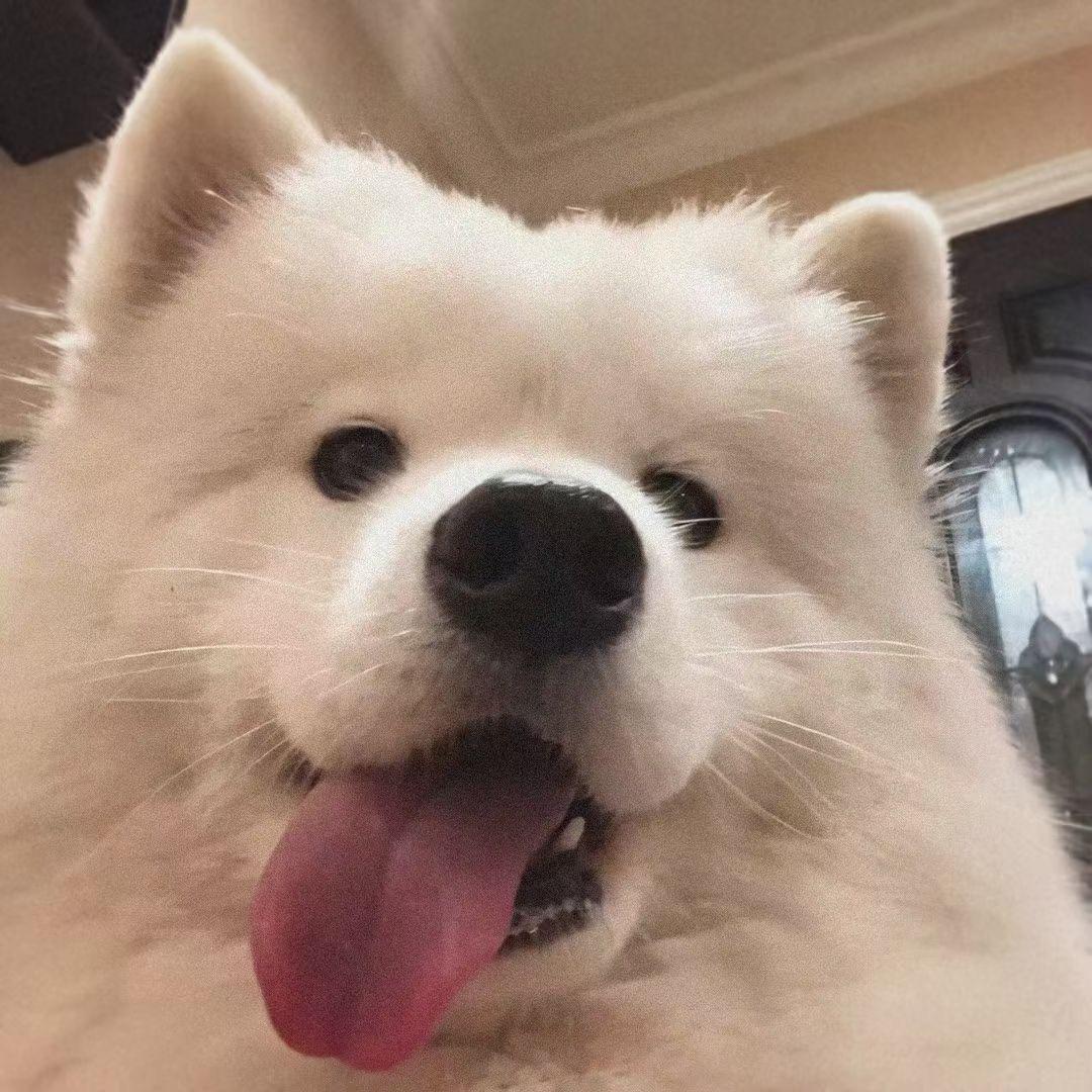 🌈想个名字真难吖！