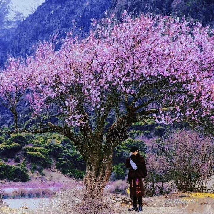 班班