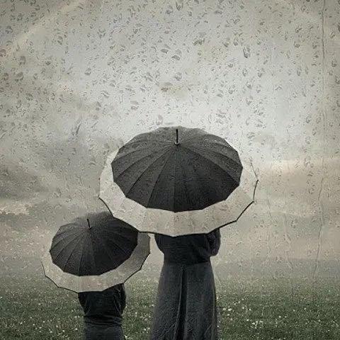 四川中蜂养蜂用具