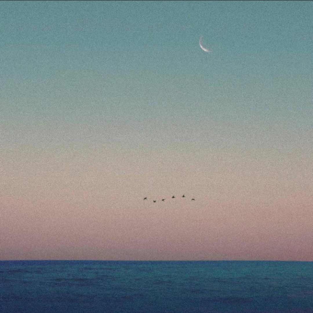 许