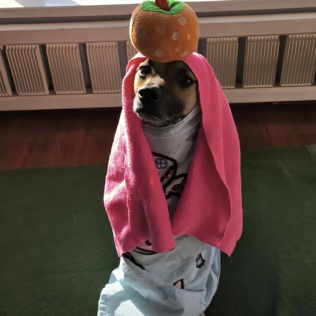 我也不太了解