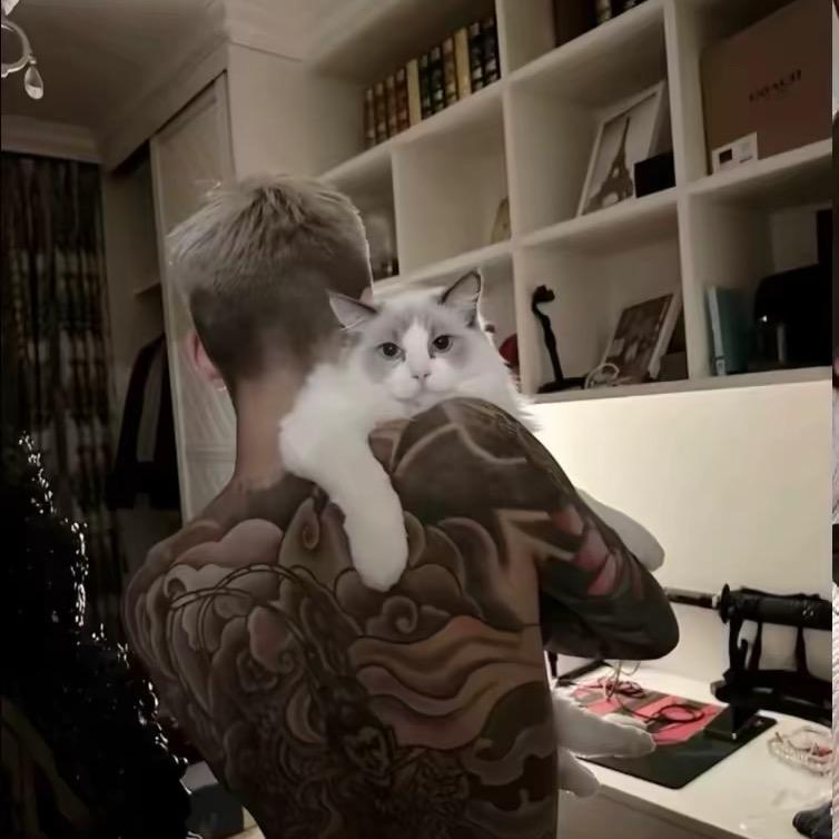 利辛好男人