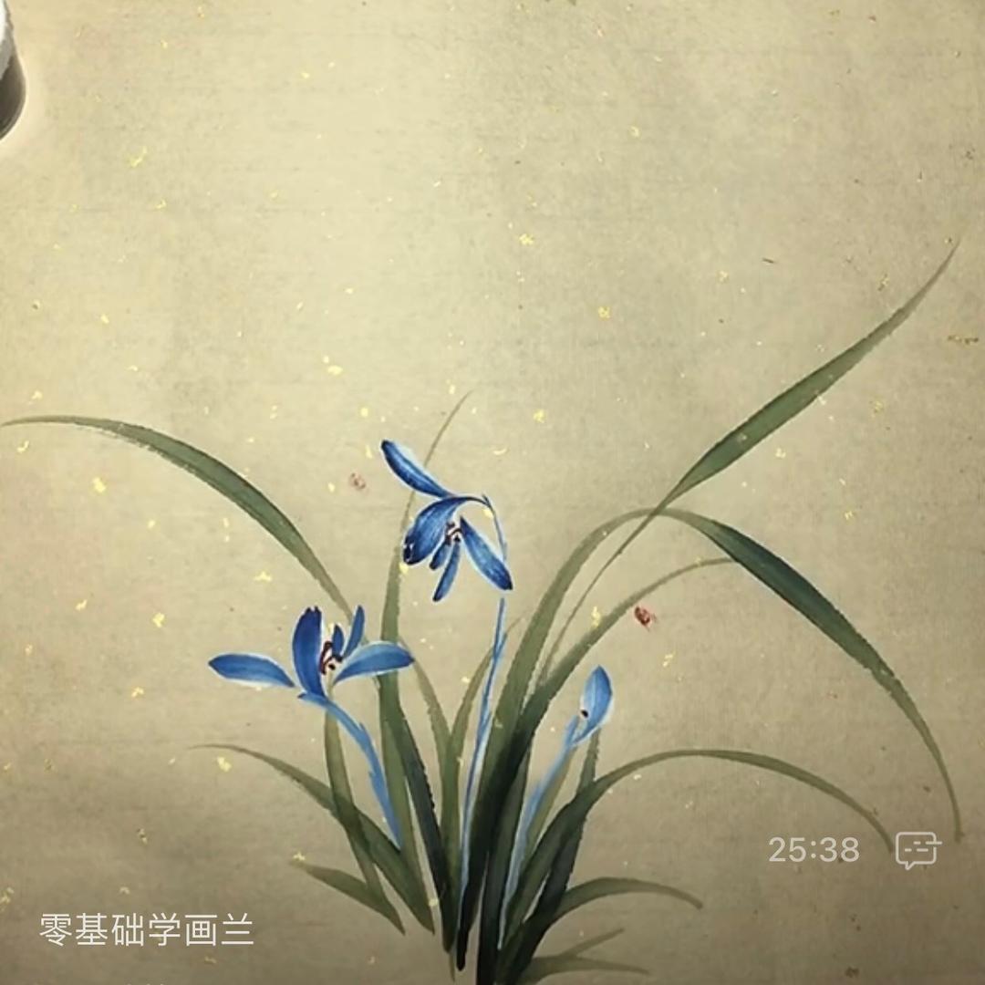 零基础学画兰日常练习（有课程）