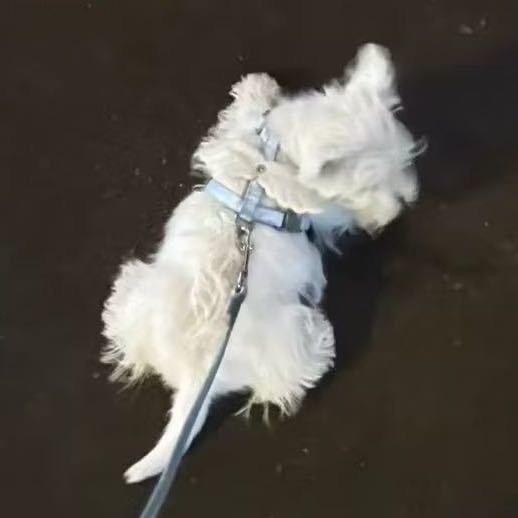 小氯