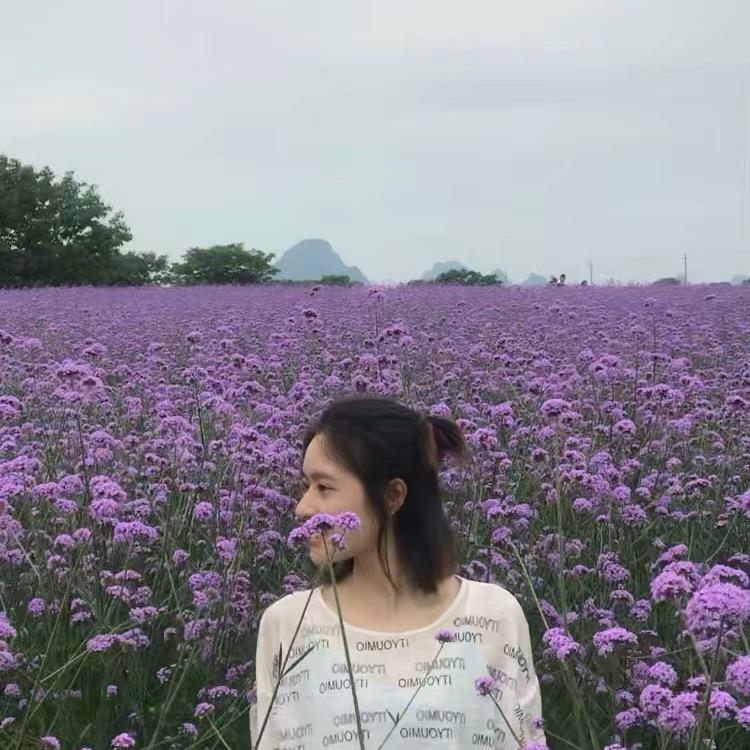 杨清风