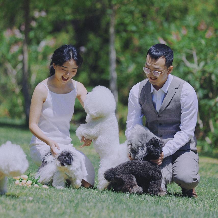 它说｜兰州宠物寄养乐园