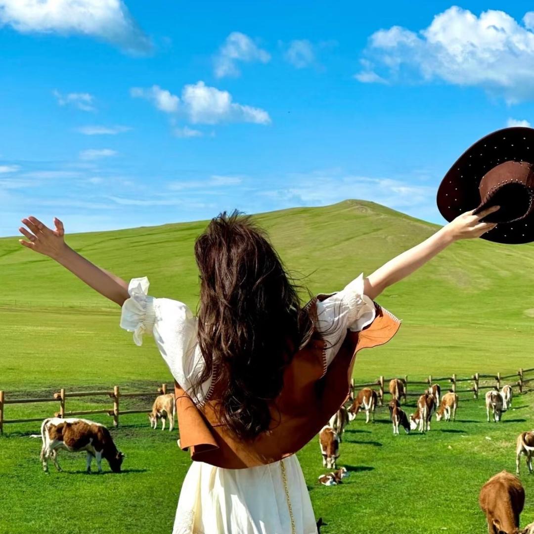 签证小助手-麦芽