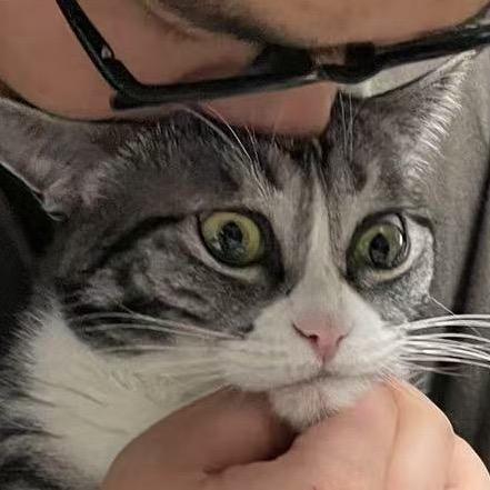正版ZJH