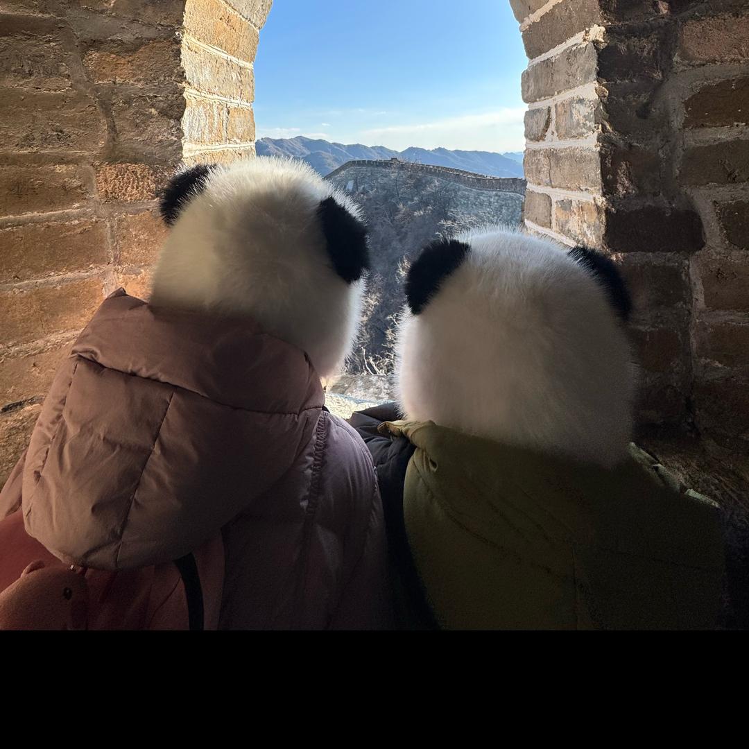 粗眉毛的Suri