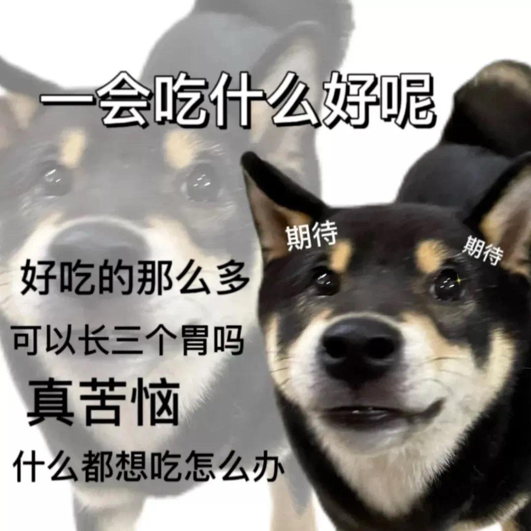 半环街灯✨