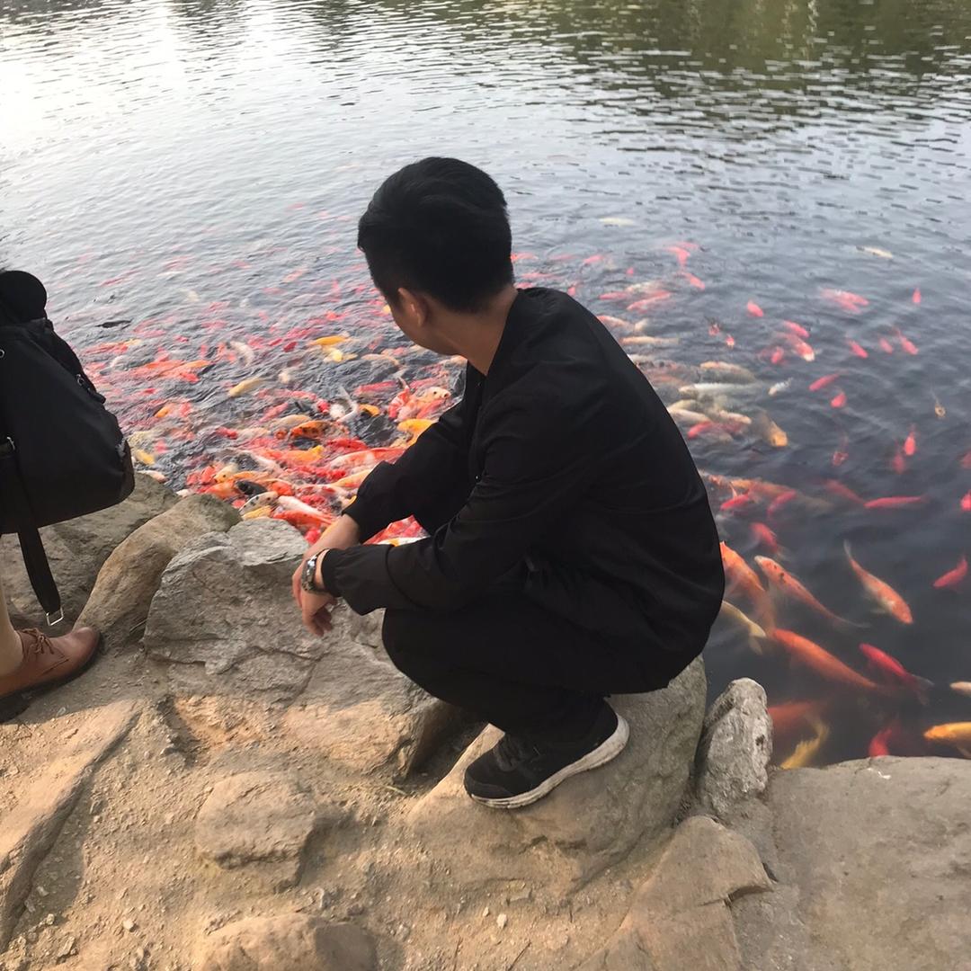 @林少