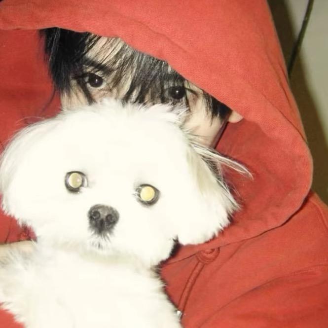 运气爆棚的土豆🥔