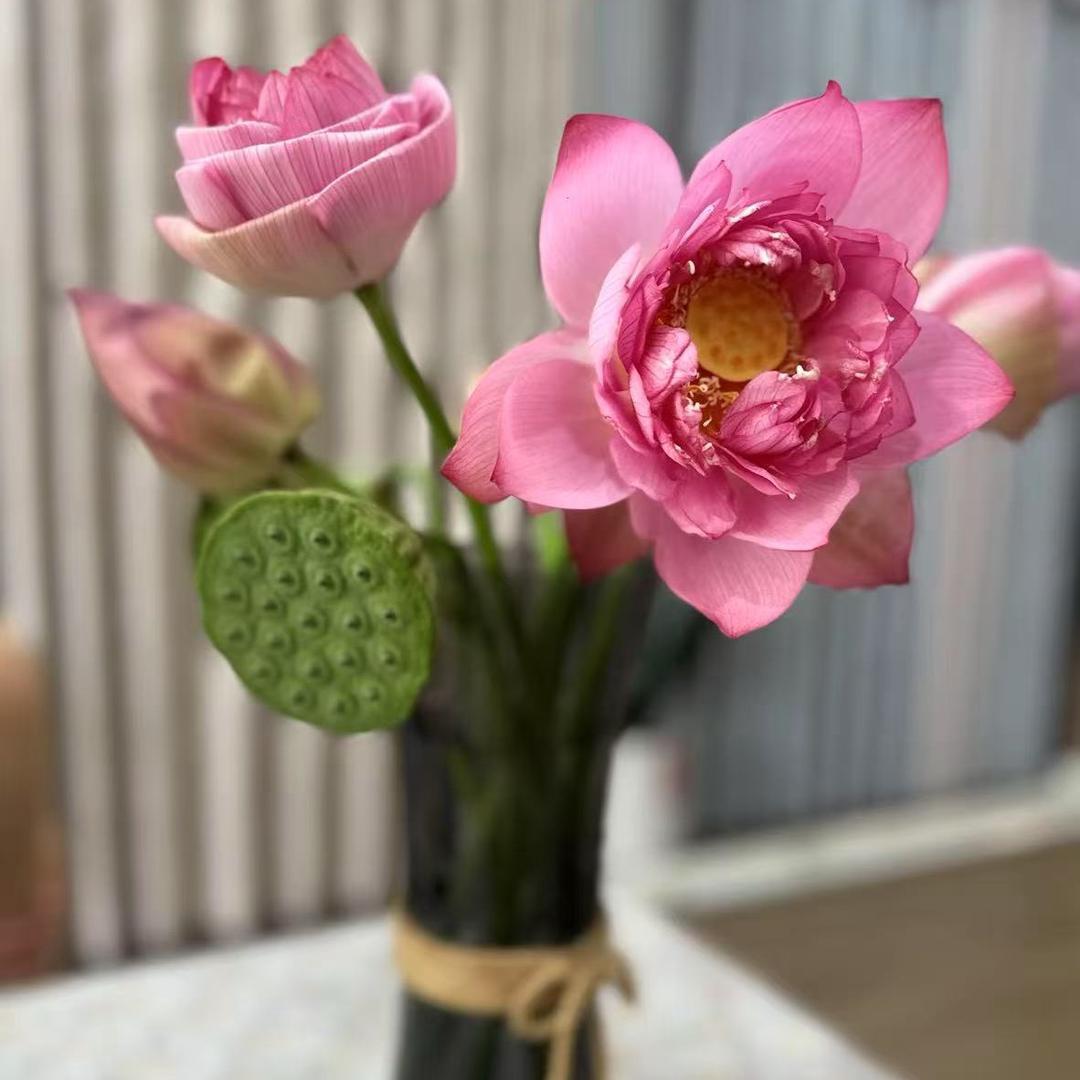 是那个憨憨呀
