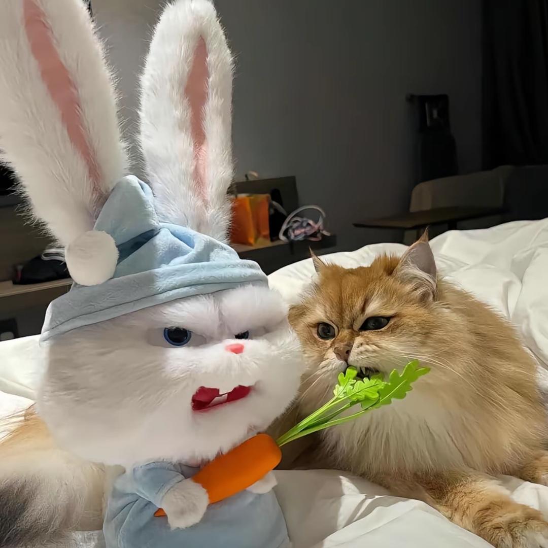 未知鱼