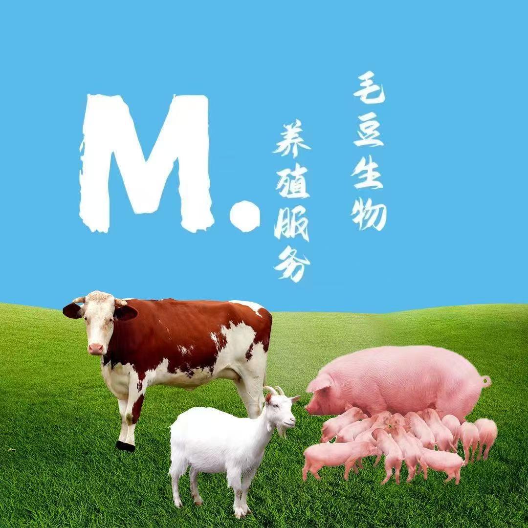 河南毛豆生物科技有限公司