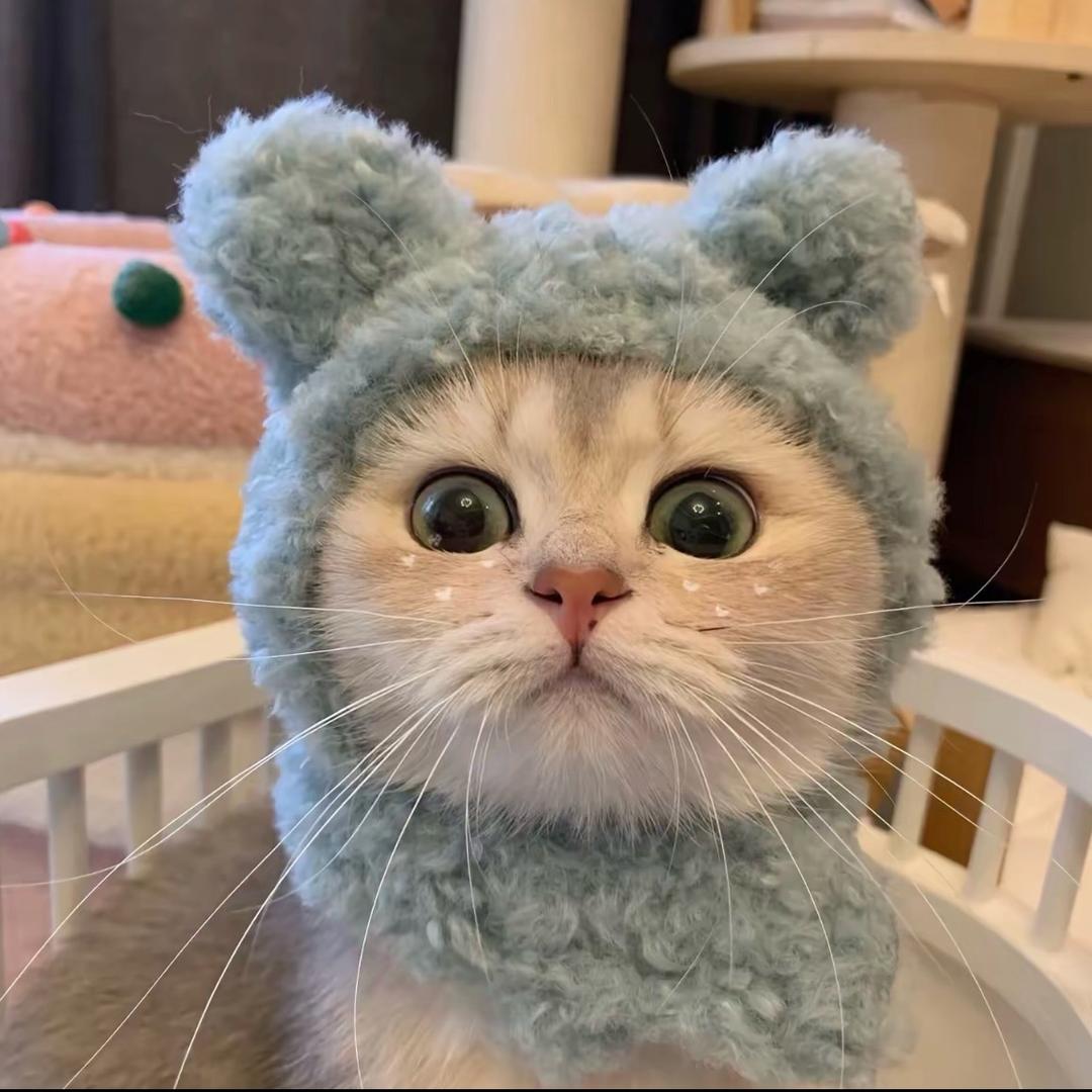 🐻宝宝🍼