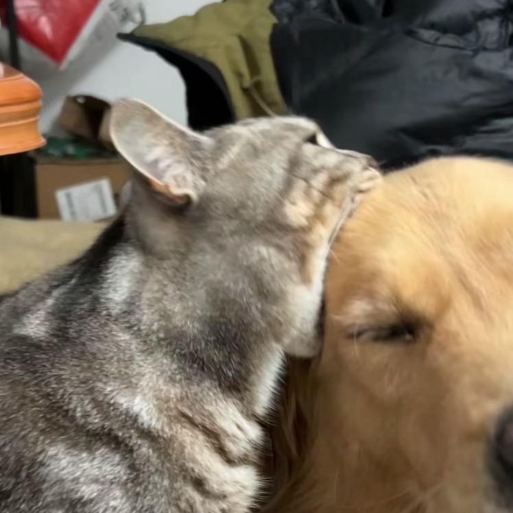 想睡个好觉.🌈