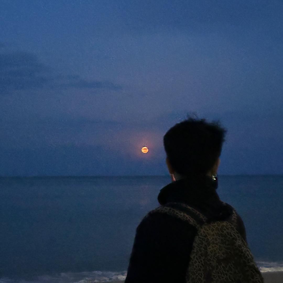 超绝无敌马嘉祺飞天宇宙大蟑螂