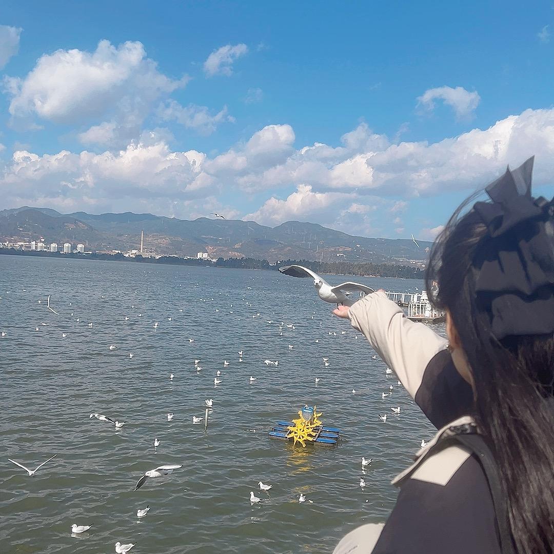 女侠张开心