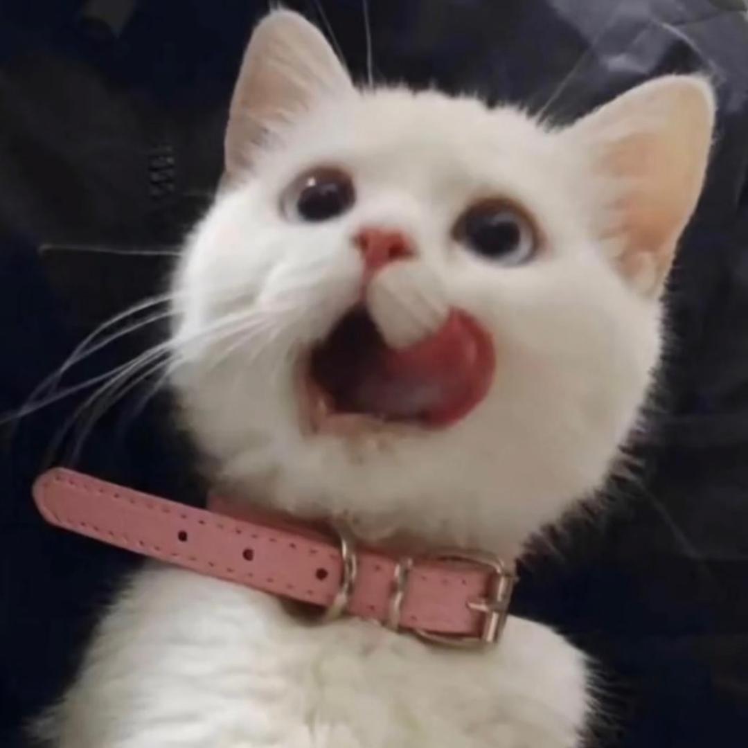 十゛七