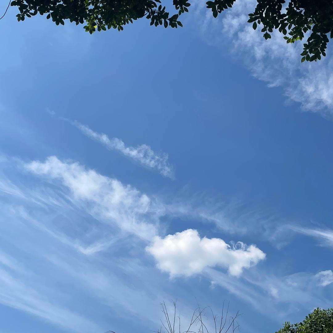 💞ღ᭄烈酒ꦿ꯭敬ꦿ᭄余生💞