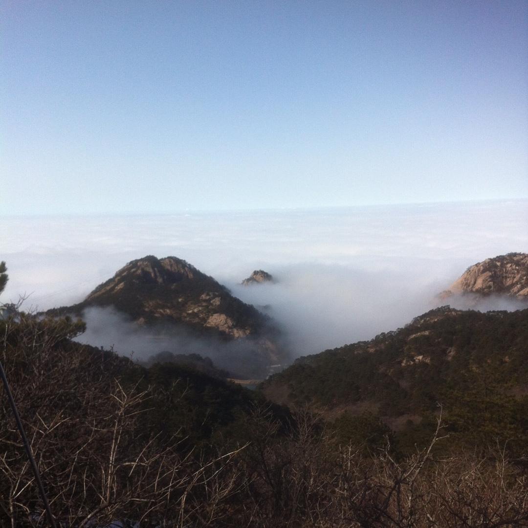 喵小白