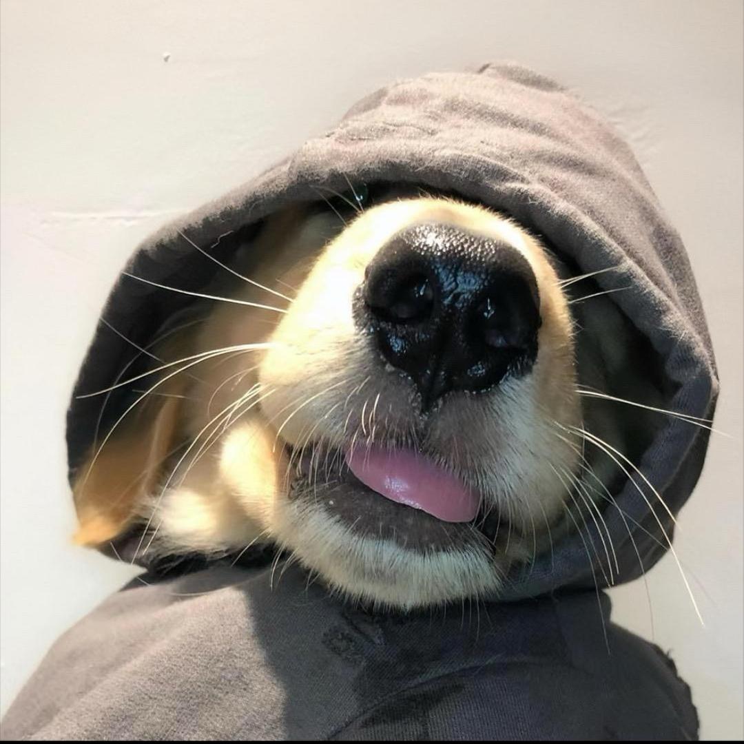 T T