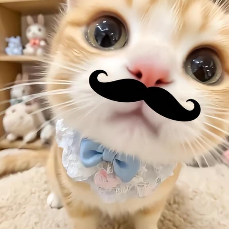 噜噜爱撸串.ᰔᩚ