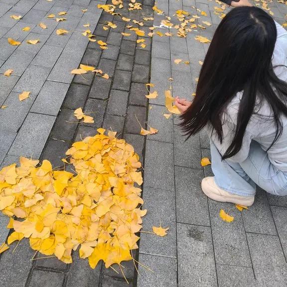 夹心蓝莓🫐