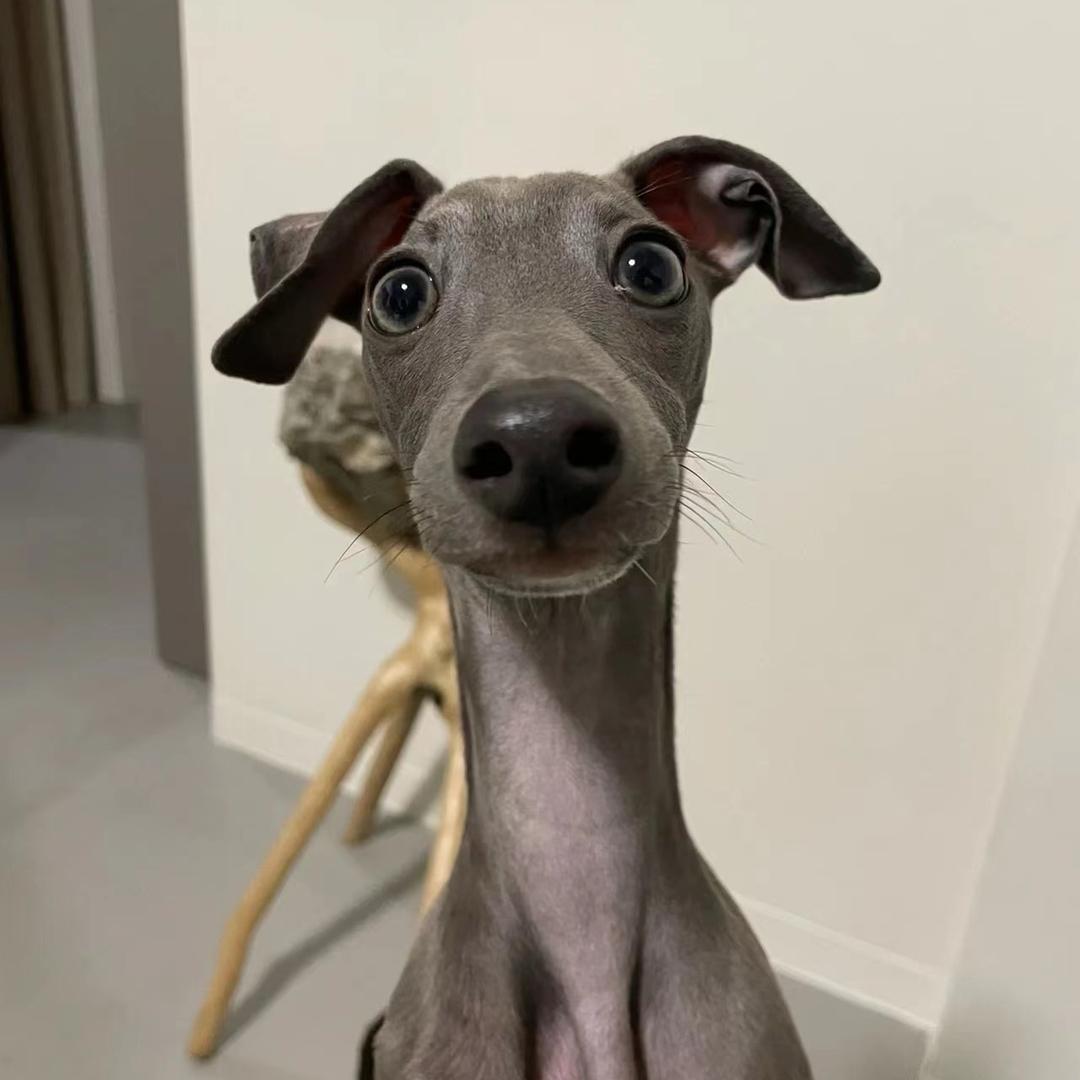 宁波爱河小后生