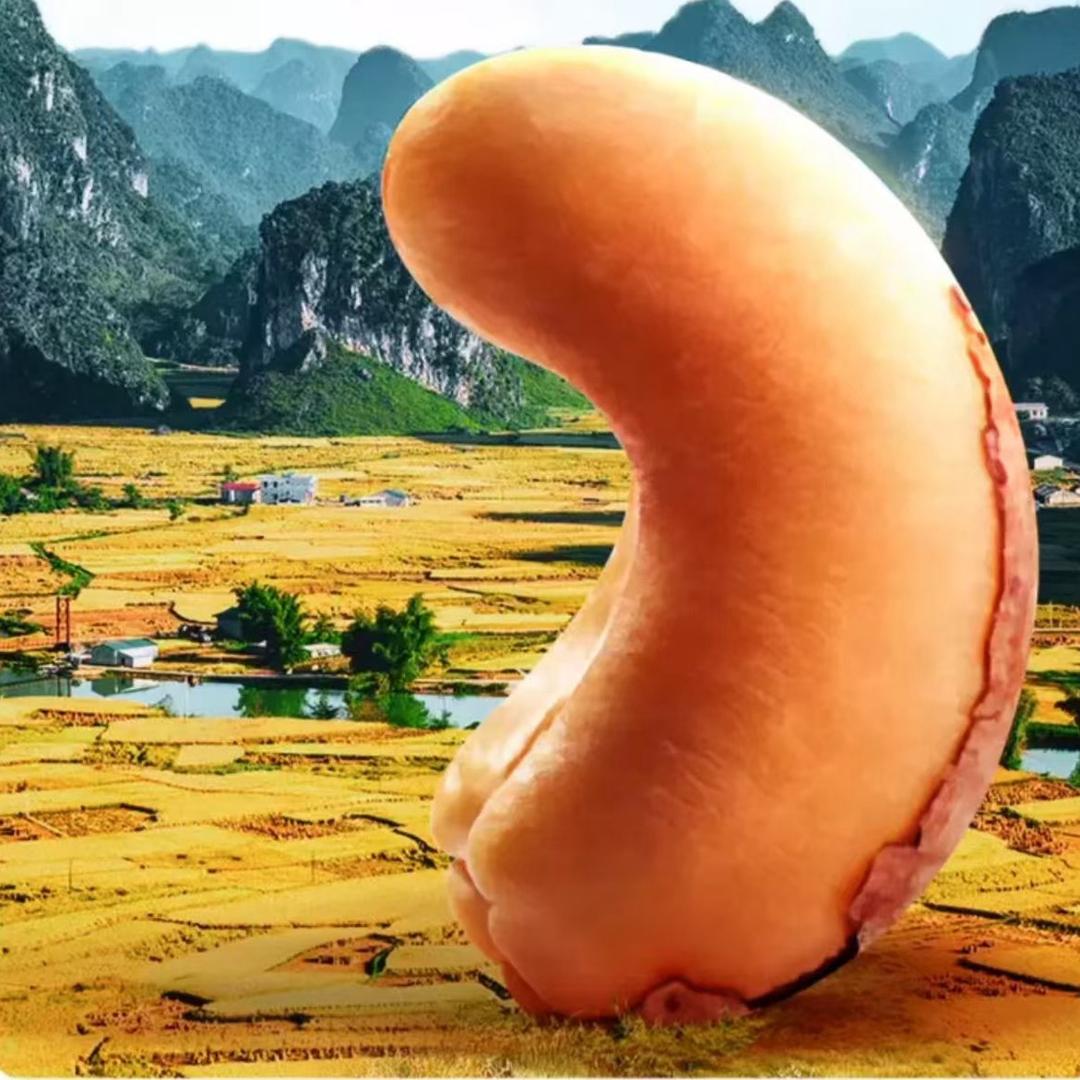每日一粒